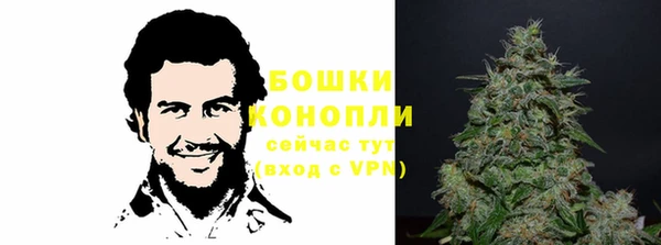 PSILOCYBIN Арсеньев