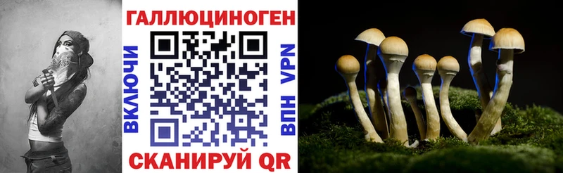 где найти наркотики  Сунжа  Псилоцибиновые грибы прущие грибы 